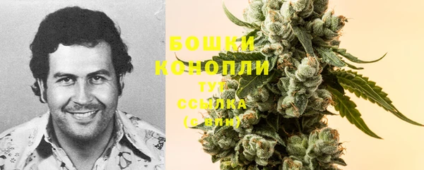 COCAINE Бородино