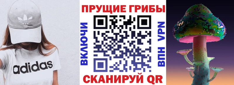 даркнет сайт  мега ссылки  Псилоцибиновые грибы мухоморы  Владимир 